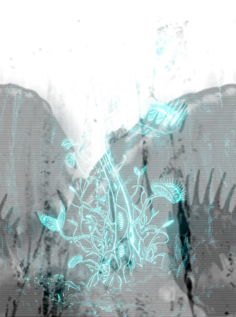Venus flytrap structure with glowing spores